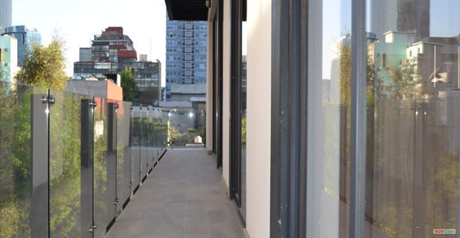 RIO NI&Aacute;GARA 50